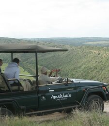 Game Drives
