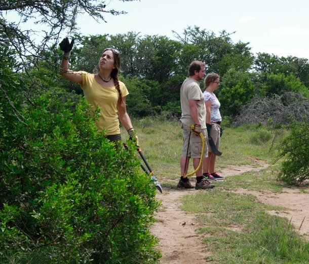 Volunteer Tourism Safari