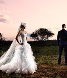 Weddings & Honeymoons