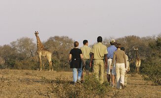 A group on a guided bush walk with an armed ranger