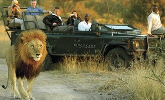Game Drives