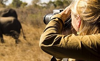 Photographic Safaris