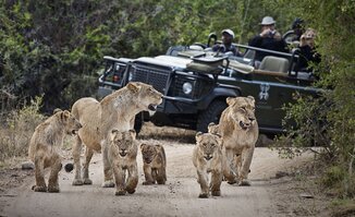 Game Drives