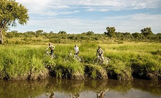 Mountain Biking