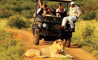 Game Drives