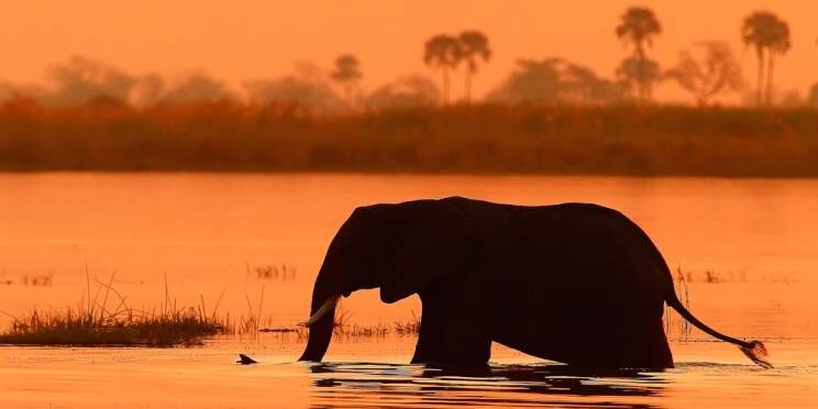 9-Day Victoria Falls & Botswana Big Game Safari