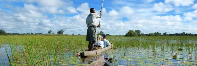 Mokoro & Walking Safaris in the Okavango