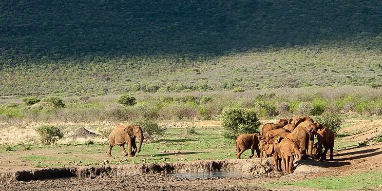 6-Day Affordable Kenyan Breakaway Safari
