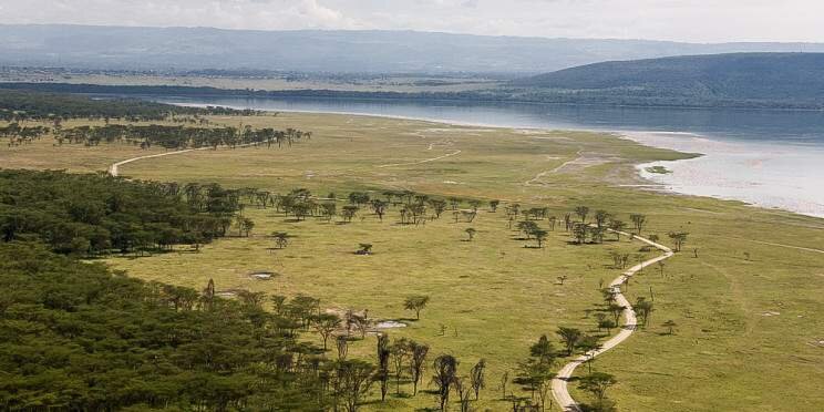 11-Day In Search of Kenya's Rare Species