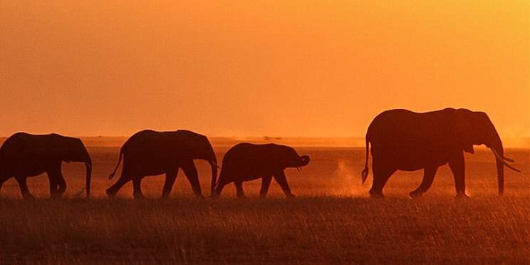 7-Day Kenya's Safari Gems