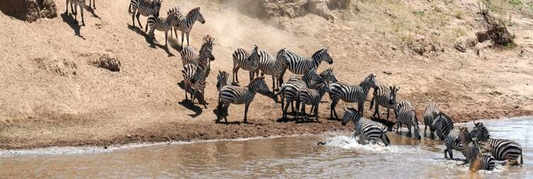 An idyllic safari camp nestled in the Masai Mara