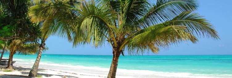 Luxury Beach Break in Zanzibar