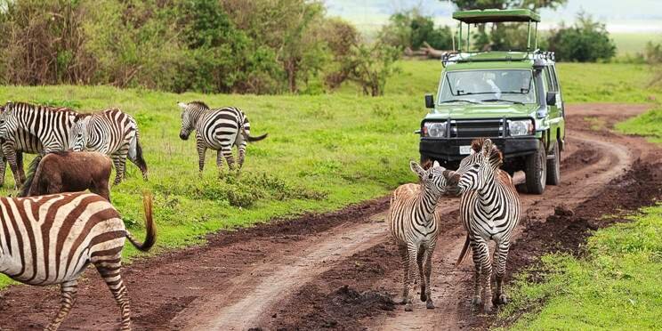 5-Day Serengeti Short & Sweet Safari