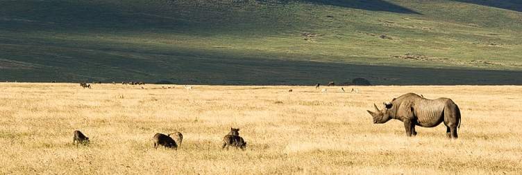 Explore Ngorongoro