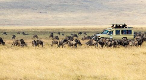 8-Day Tanzania Migration Safari Northern Circuit