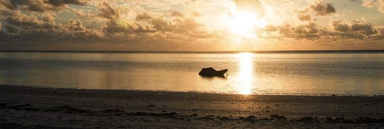 Relax on the beaches of Zanzibar