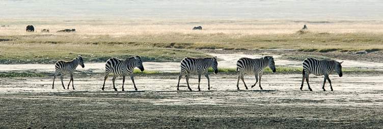 Enjoy the precipice edge of the Ngorongoro Crater with Serengeti Views