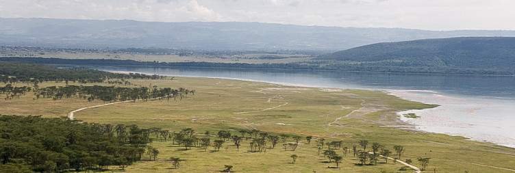 Masai Mara to Lake Nakuru: Morning Game drives in Masai Mara