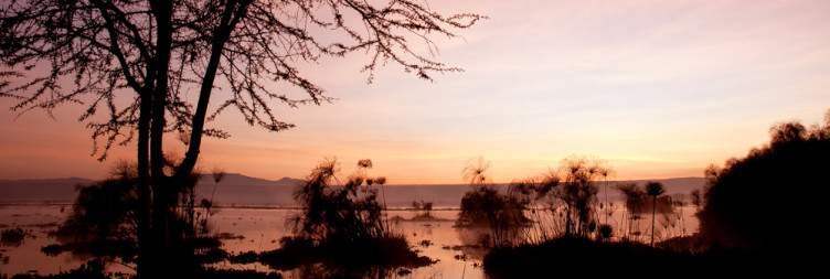Lake Nakuru to Naivasha: Morning Game drives in Lake Nakuru