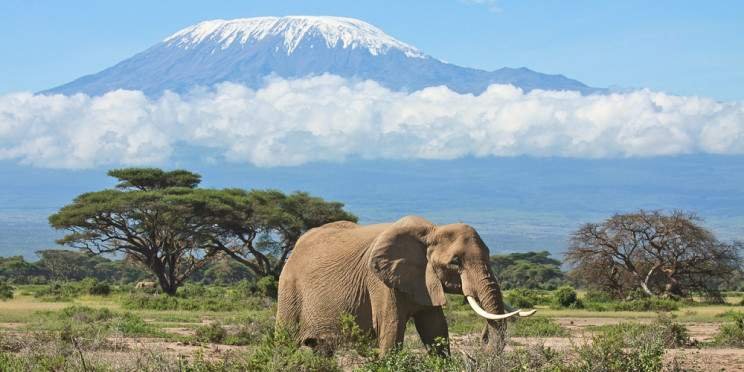 6-Day Masai Mara, Nakuru, Amboseli - Luxury - Safarivan