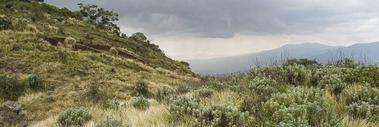 Serengeti National Park – Ngorongoro Crater
