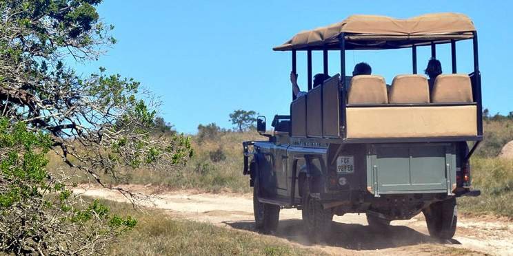 9-Day Madikwe & Kruger Parks Safari South Africa