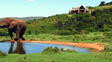Hopewell Private Game Lodge