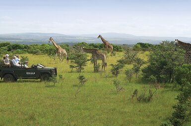 Kariega Main Lodge 13