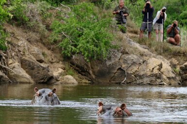 Kariega River Lodge 15