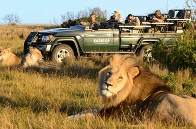 Kariega River Lodge 17