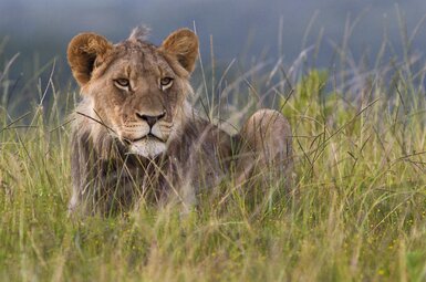 Kariega Settlers Drift Lodge 23