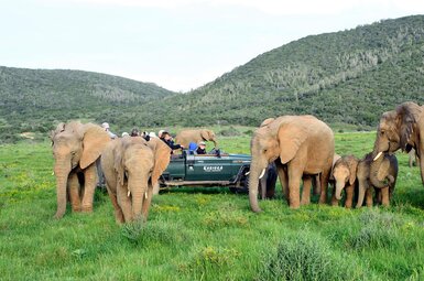 Kariega Settlers Drift Lodge 19