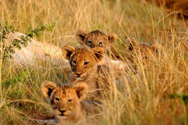 Kariega Settlers Drift Lodge 25