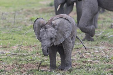 Kichaka Private Game Lodge 29