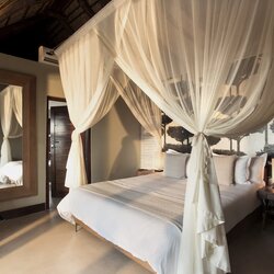 View Mhondoro Safari Lodge &amp; Villa Pictures