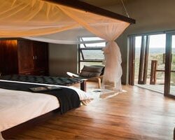 Safari/Safari Family Room