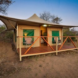 Safari Tent