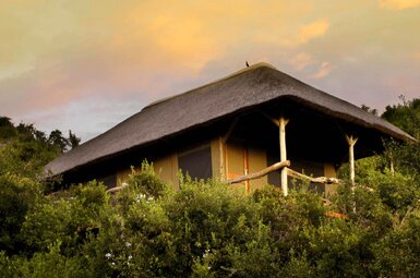 Tree Tops Safari Lodge 12