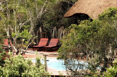 Tree Tops Safari Lodge 10