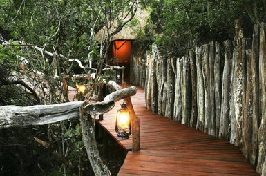Tree Tops Safari Lodge 5
