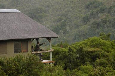 Tree Tops Safari Lodge 9