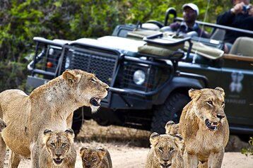 4 Day Sabi Sand Safari