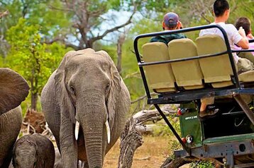 5 Day Sabi Sand Safari