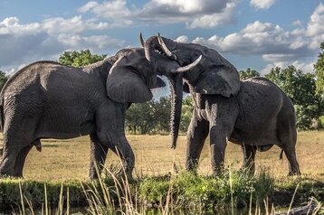 6 Day Classic Kruger Safari
