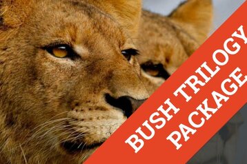 8 NT LUXURY BUSH TRILOGY