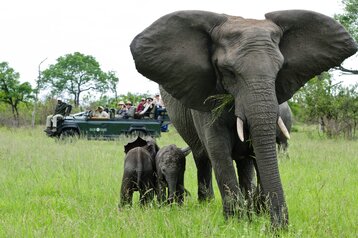 Sabi Sabi 3NT One Way Fly-In Package