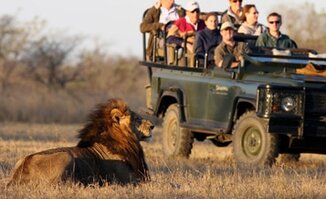 Game Drives