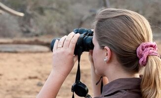 Game Viewing