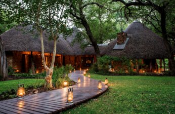 Honeymoon Offer 2019