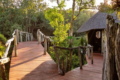 Tree Tops Safari Lodge 7